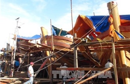 Khánh Hòa hỗ trợ trên 440 tỷ đồng cho ngư dân khai thác hải sản xa bờ 